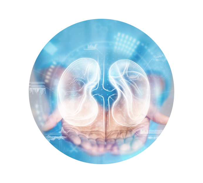 Рентген почек