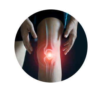 УЗИ суставов УЗИ суставов