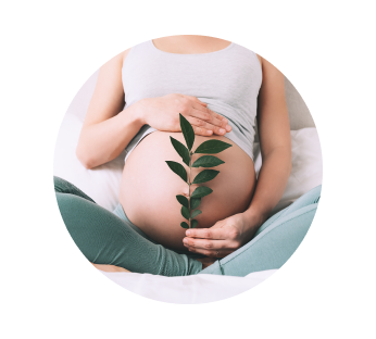 УЗИ определение пола ребенка УЗИ определение пола ребенка