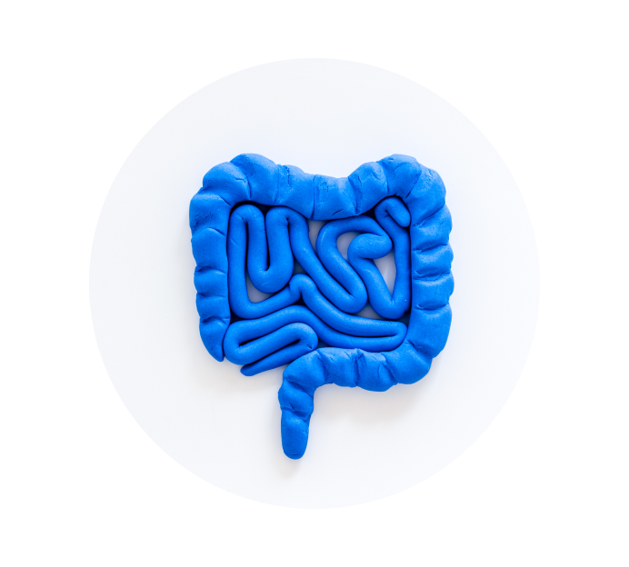 Аноскопия Аноскопия