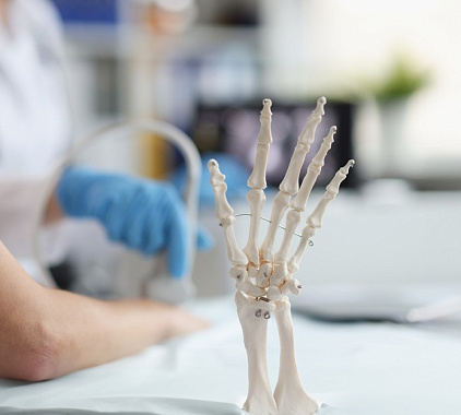 УЗИ лучезапястного сустава УЗИ лучезапястного сустава