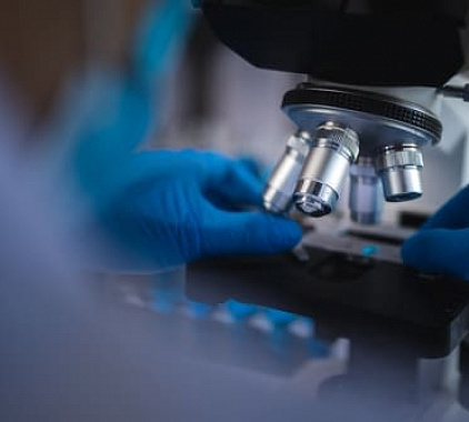 Биопсия Биопсия